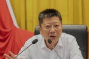 湖北省武汉市东西湖区委原书记彭涛被