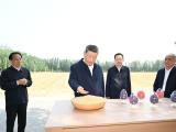 总书记山东德州行丨记者手记：根脉在大地上，力量在人民中