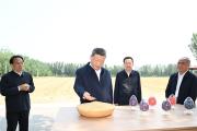 总书记山东德州行丨记者手记：根脉在大地上，力量在人民中