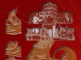 高举人类命运共同体旗帜 开创中国特色大国外交新局面