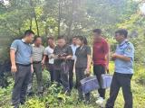 广西南丹：府院联动化解林地权属纠纷