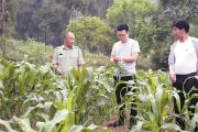 深度关注 | 把责任扛在肩上 把百姓装在心中