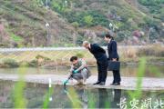 深耕小案精办 守护民生正义——兴山县检察院高质效赋能基层治理