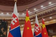 习近平同斯洛伐克总统佩列格里尼会谈