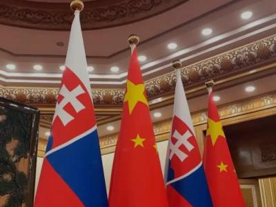 习近平同斯洛伐克总统佩列格里尼会谈