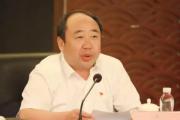 河南内乡县委原书记张智广接受纪律审查和监察调查