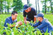 司法服务延伸至田间地头农家院落