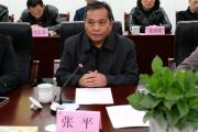 检察机关依法对张平涉嫌受贿、利用影响力受贿、行贿案提起公诉