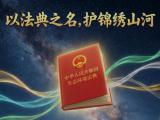 【AI动画】一个灰色小球的最后陈述