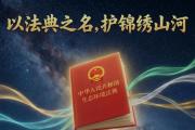【AI动画】一个灰色小球的最后陈述