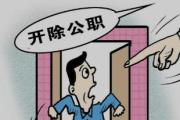 杭州西投智慧停车管理有限公司直属中队长蒋雷被开除公职