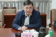 广东肇庆高新区党工委原委员、管委会原副主任严耿文严重违纪违法被”双开“