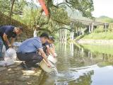 浙江：增殖放流