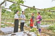 深度关注丨推动基层监督与基层治理相贯通