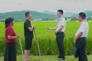 深化清廉国企建设