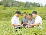 深度关注丨丰收“有底气”
