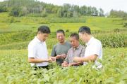 深度关注丨丰收“有底气”