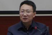 安徽省合肥市人民政府原党组成员、副市长何逢阳严重违纪违法被”双开“