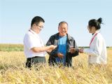 深度关注丨丰收开新局 实干促振兴
