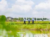 金秋枣阳庆丰收，藏蓝护航绘“丰”景——枣阳公安倾力护航中国农民丰收节