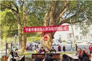 百年香樟树下 “开庭”，纠纷当场化解；这个法庭 “案件量连续8年下降” 的秘密找到了