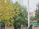 天津公安优化“护学岗”机制 早高峰拥堵指数同比下降1.7%